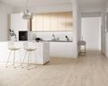 Paradyz Heartwood