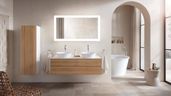 Duravit White Tulip