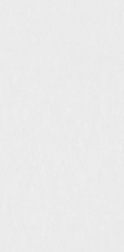 Delacora Absolute Ice 60x120 ID 526945 - 1