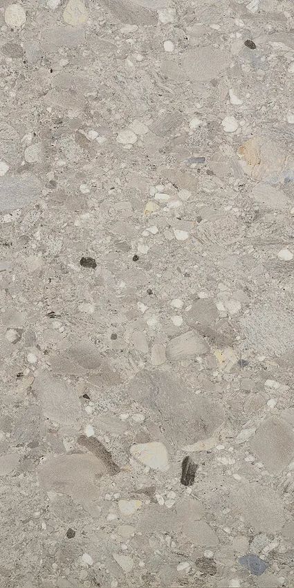 Cercom Ceppo Di Gres Grigio 60x120 ID 498634 - 1
