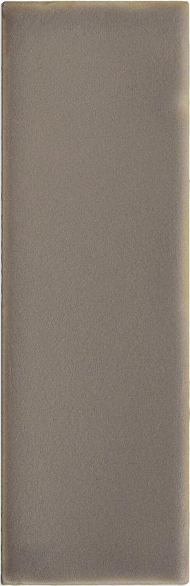 DNA Tiles Chalk Fossil 4x12.5 ID 560376 - 1