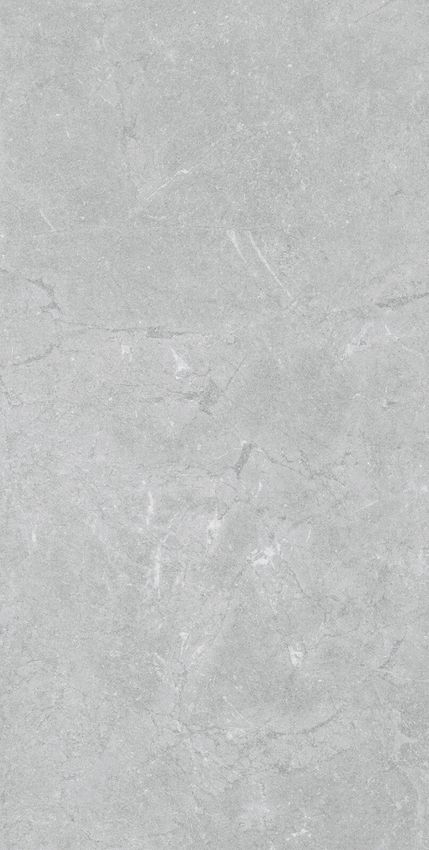 Pamesa Constanza Gray Rect 60x120 ID 552239 - 1