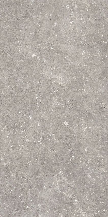 Pamesa Dover Gris 60x120 ID 557358 - 1