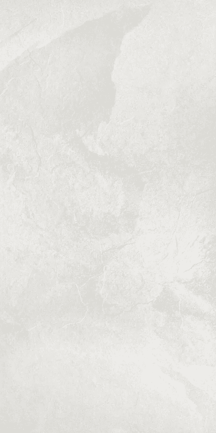 Pamesa Rhin Blanco 60x120 ID 537449 - 1