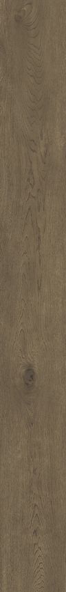 Living Ceramics Uno Cocoa 22.5x160 ID 560902 - 1