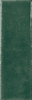 Wow Colour Notes Fennel 4x12.5 ID 519702