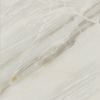 ColiseumGres Firenze Белый лаппатир. 45x45 ID 477805