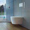 Кнопка смыва Duravit DuraSystem А2 - 5