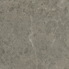 Grigio Elegante Matt. 60x60