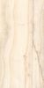 Kutahya Opal Bone Rektifiye Parlak Nano 120x240 ID 398654