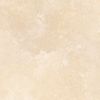 Beige 1C 42x42