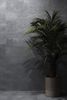 ARTCER Stone Porto Grey MATT 60x120 ID 1204