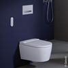 Унитаз подвесной Geberit AquaClean